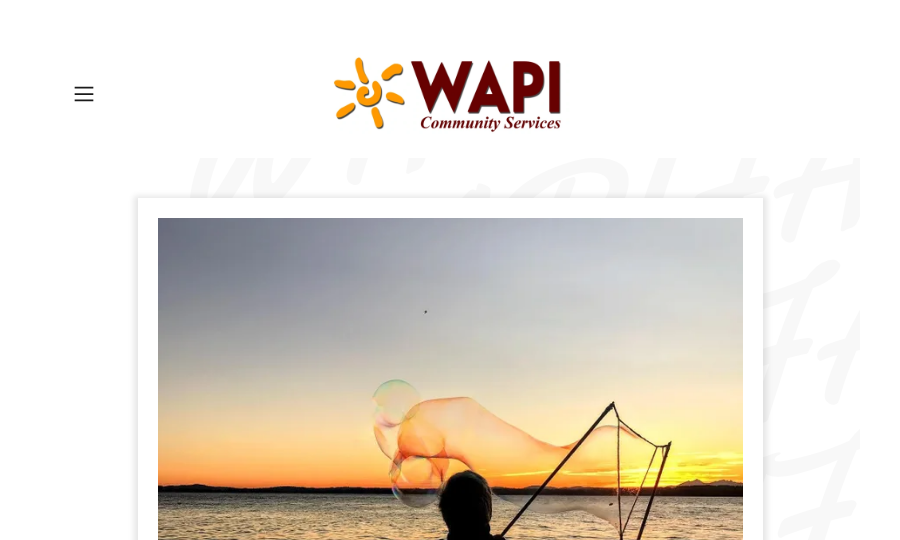 WAPI Community Services provider image